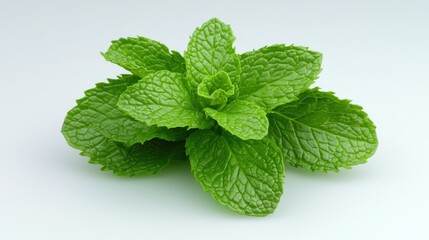 Fresh mint leaves on white background, food ingredient, cooking