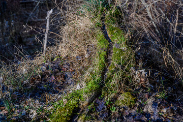 Am Wachsenden Felsen nahe Landau/Isar