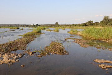 Krüger Park - Afrikanischer Busch – Olifants River / Kruger Park - African bush – Olifants...