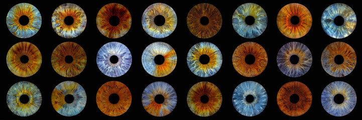 Close up of eye iris on black background, macro, photography.
Colorful human eye irises.