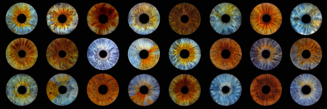 Close up of eye iris on black background, macro, photography.
Colorful human eye irises.