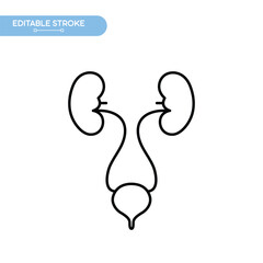 Health Bladder and Kidney Symbol Icon Editable Stroke.