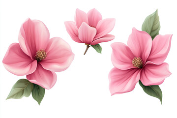 A collection of pink magnolia flowers with green leaves, ideal for floral designs.