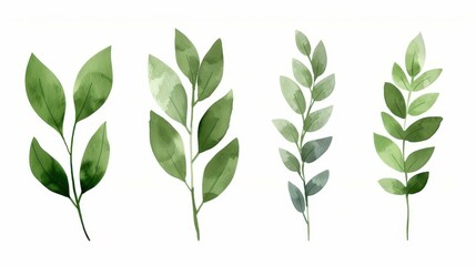 Vibrant watercolor illustrations, each piece uniquely crafted, perfect for adding a splash of color to any design project.