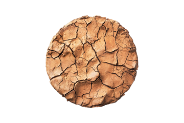 Dried cracked earth with a paw print drought footprint desert texture
