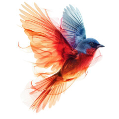 Obraz premium bird of paradise isolated on transparent background, png