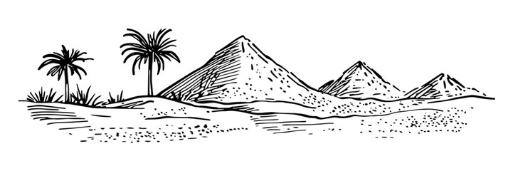 egyptian pyramids with palm trees in desert vintage engraving style doodle sketch vector © Kaz