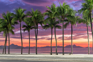 Fototapeta premium Beautiful sunrise on Copacabana Beach in Rio de Janeiro, Brazil. Warm sky colors and palm trees on famous promenade 