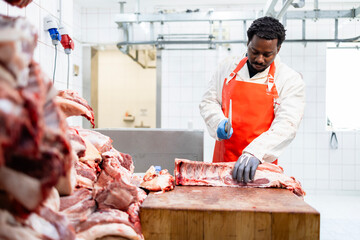 Professional African American butcher chopping pork meat inside slaughterhouse.