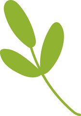 Hand Drawn Leaves Twig