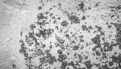 Old cement wall painted white as a background.
