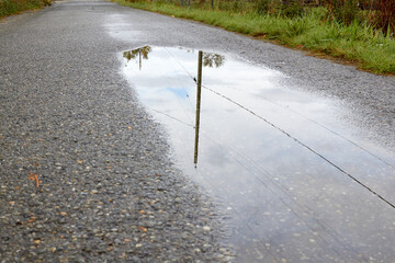 The Telephone Pole in the Puddle