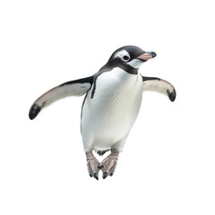 Naklejka premium penguin isolated on white