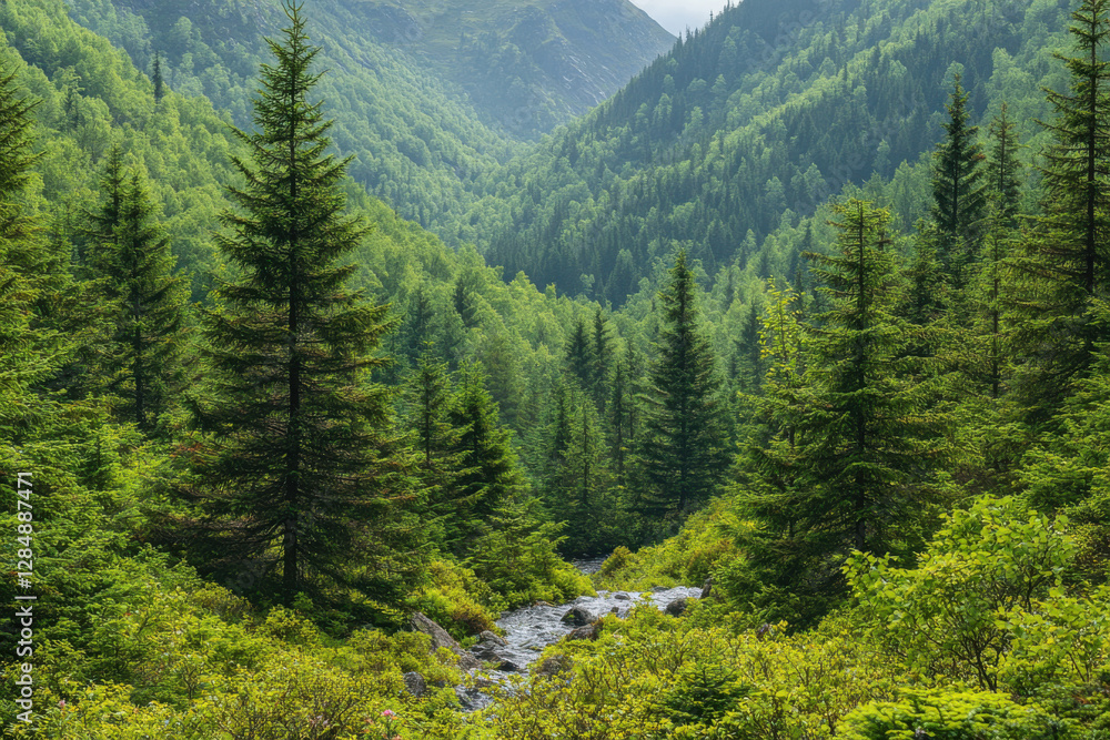 Poster a lush green forest with a stream running through it