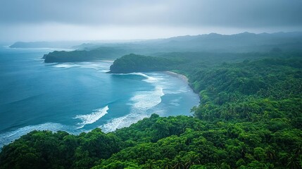 Tropical Coastline, Lush Jungle, Misty Seascape, Drone View