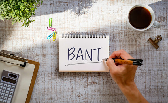 There is notebook with the word BANT. It is an abbreviation for Budget, Authority, Needs, Timeframe as eye-catching image.