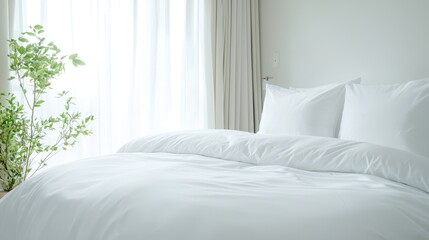 Sunlit bedroom, white bedding, plant, calm