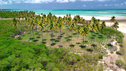 landscape of the sea
