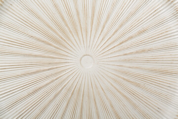 Gold tan and white charger plate on a birch light wood tabletop with a woodgrain texture suitable for a dynamic texture or background.