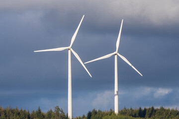 Fototapeta premium Wind Turbines along the Washington Coast. Grayland Washington