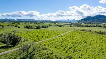Naklejka premium Scenic Rural Farmland Rolling Hills Country Road Green Fields Agricultural Landscape