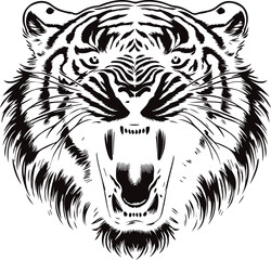 black and white tiger roar