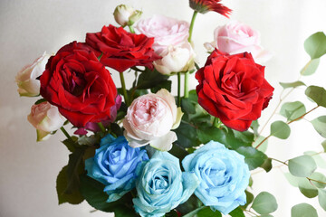 カラフルな薔薇
