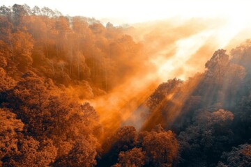 Fototapeta premium Golden light breaks through the forest canopy at dawn, illuminating a winding river. Mist hovers above the water, enhancing the serene autumn atmosphere. Generative AI