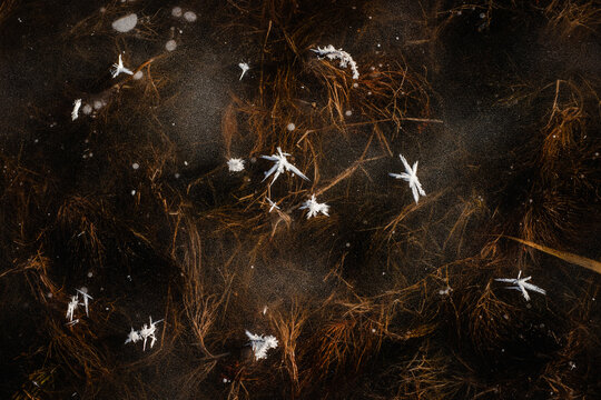 Snow on the ice 