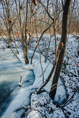 Frozen lake in the forest , swamp in the woodalnds.Winter landscape with frozen lake , beautiful...