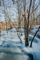 Frozen lake in the forest , swamp in the woodalnds.Winter landscape with frozen lake , beautiful colors in the forest.Ice and ground.Trees grow up through the water floods in forest 