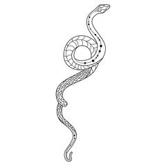 Elegant and whimsical silhouette of a snake intertwining in a graceful dance of doodles and patterns