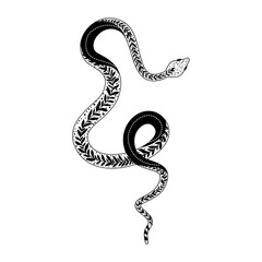 Elegant and whimsical silhouette of a snake intertwining in a graceful dance of doodles and patterns