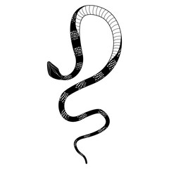 Elegant and whimsical silhouette of a snake intertwining in a graceful dance of doodles and patterns