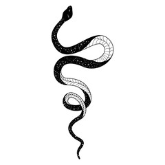 Elegant and whimsical silhouette of a snake intertwining in a graceful dance of doodles and patterns