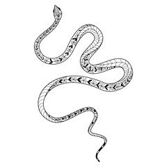 Elegant and whimsical silhouette of a snake intertwining in a graceful dance of doodles and patterns