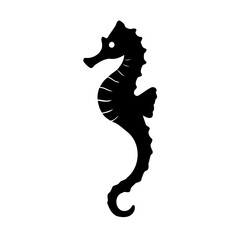 Elegant Seahorse Silhouette on White Backdrop