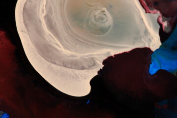 Liquid art with Ink, Paint, Mica Powder, Milk and Oils