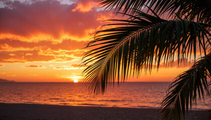 Fototapeta na wymiar Palm branch silhouette against tropical sunset, serene beauty