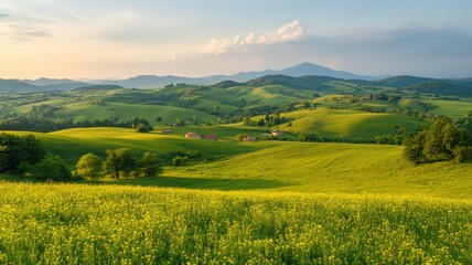 Obraz premium Sunlit Green And Yellow Fields Rolling Across Pastoral Landscape