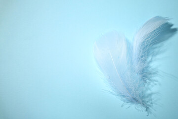 Obraz premium Fluffy feathers on light blue background, top view. Space for text