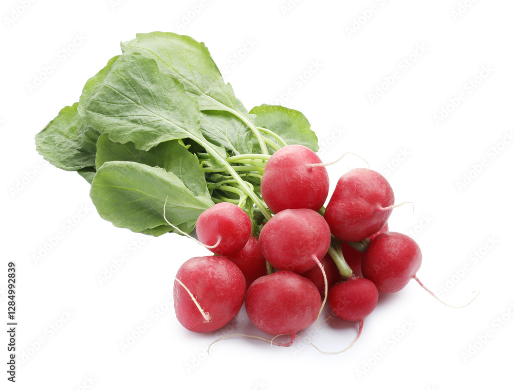 Wall mural Bunch of fresh ripe radishes isolated on white