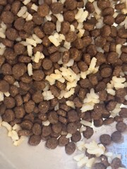 Dog food, feeding time