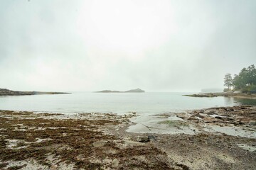 Moody, rainy nature scenes on Galiano Island, British Columbia