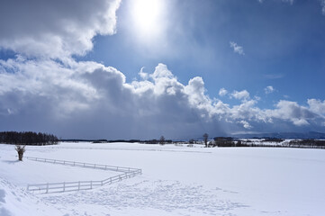 一面雪景色の冬の美瑛の丘