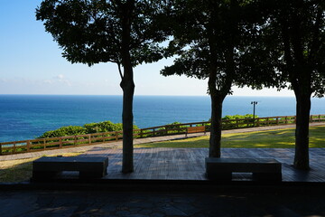 fine view with seaside walkway