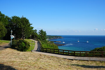 fine view with seaside walkway