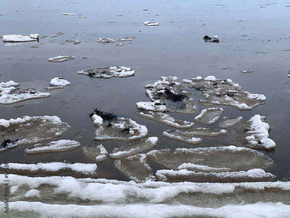 Wall mural ice and snow on the shore of the winter Baltic Sea