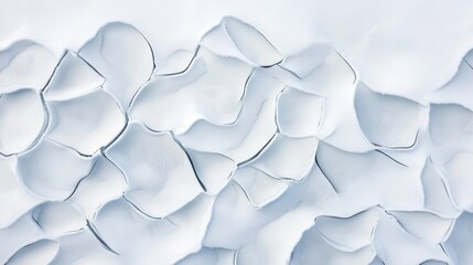 Obraz premium A mesmerizing pattern of ice chunks spread across a snowy white backdrop, with a frosty and wintry atmosphere.