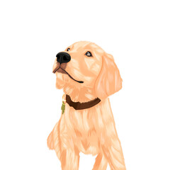Cute Golden Retriever Puppy – Adorable Dog Illustration